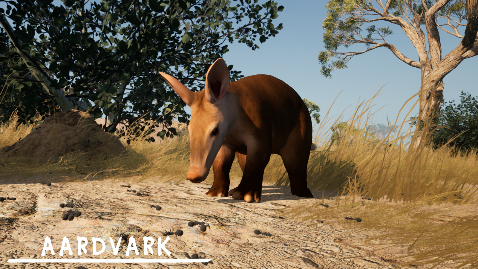 Aardvark