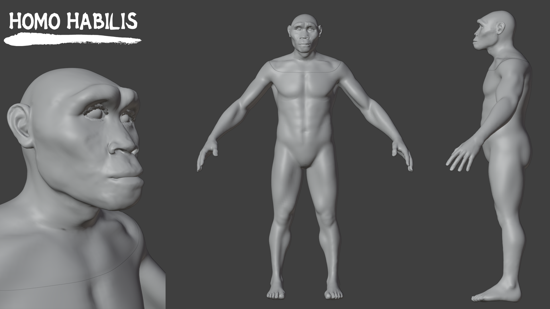 Homo Habilis