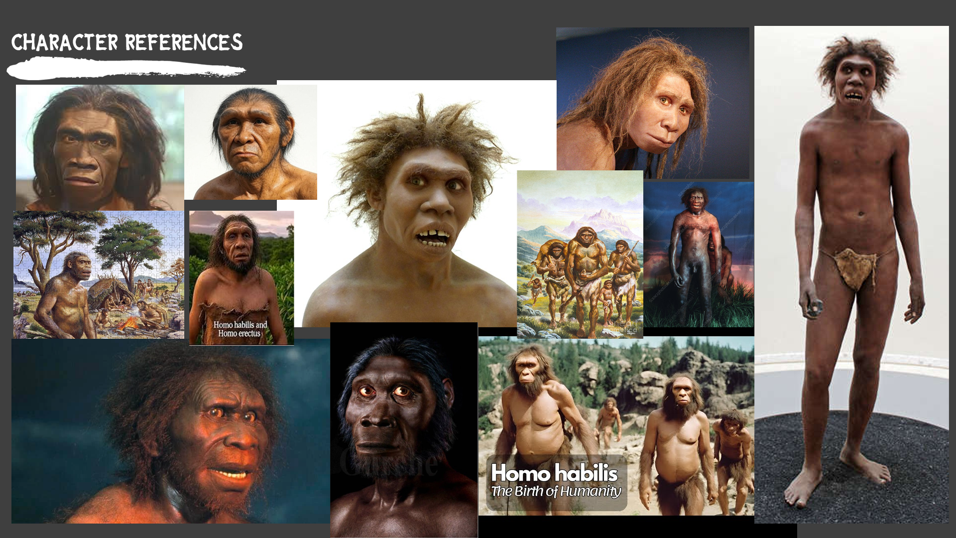 Homo Habilis 2